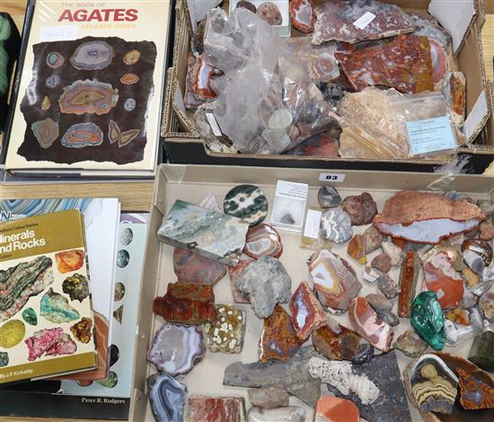 Minerals and rocks with reference books and a paeolithic arrowhead, etc.